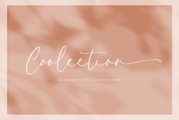 Coolection Calligraphy Font: A Designer’s Review for Campaign Visuals
