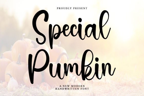 Special Pumkin Font: A Designer’s Branding Test